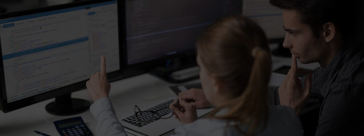 Application and Software Development Services