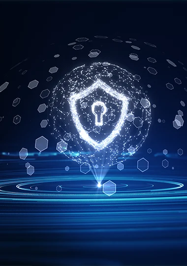 Value we deliver to the overall digital defense ecosystem of your business with MSS with Application security services