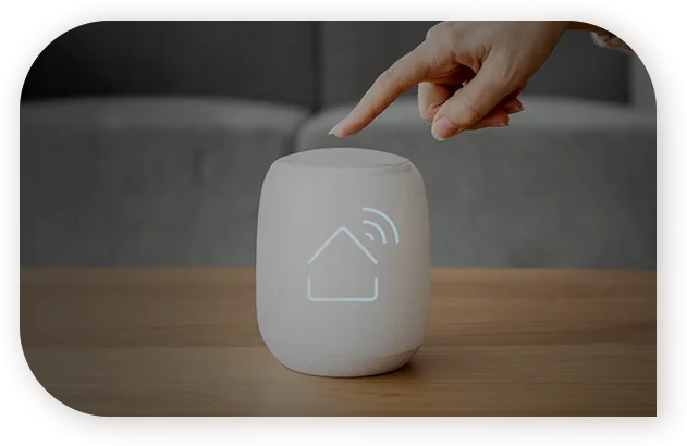 Internet of Things (IoT) Development Services