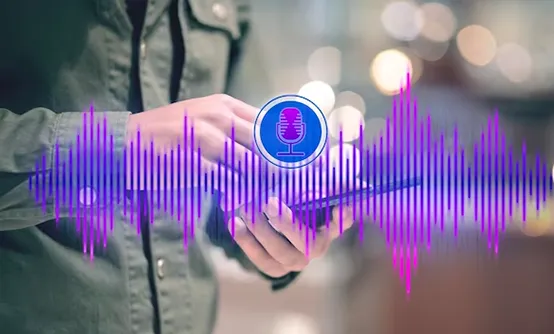 Voice Search and Voice Commerce