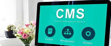 Web CMS solutions