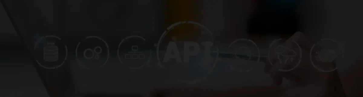 Custom API Development & Integration Services