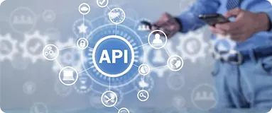 API development and integration