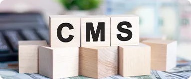 CMS integration services