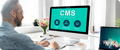 Custom CMS development
